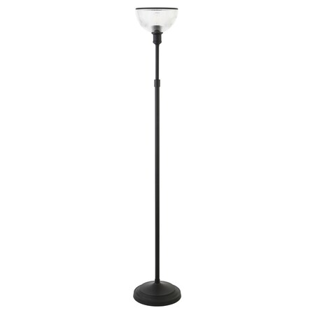 Hudson & Canal Henn &amp; Hart  Francis Blackened Bronze Torchiere Floor Lamp FL0727